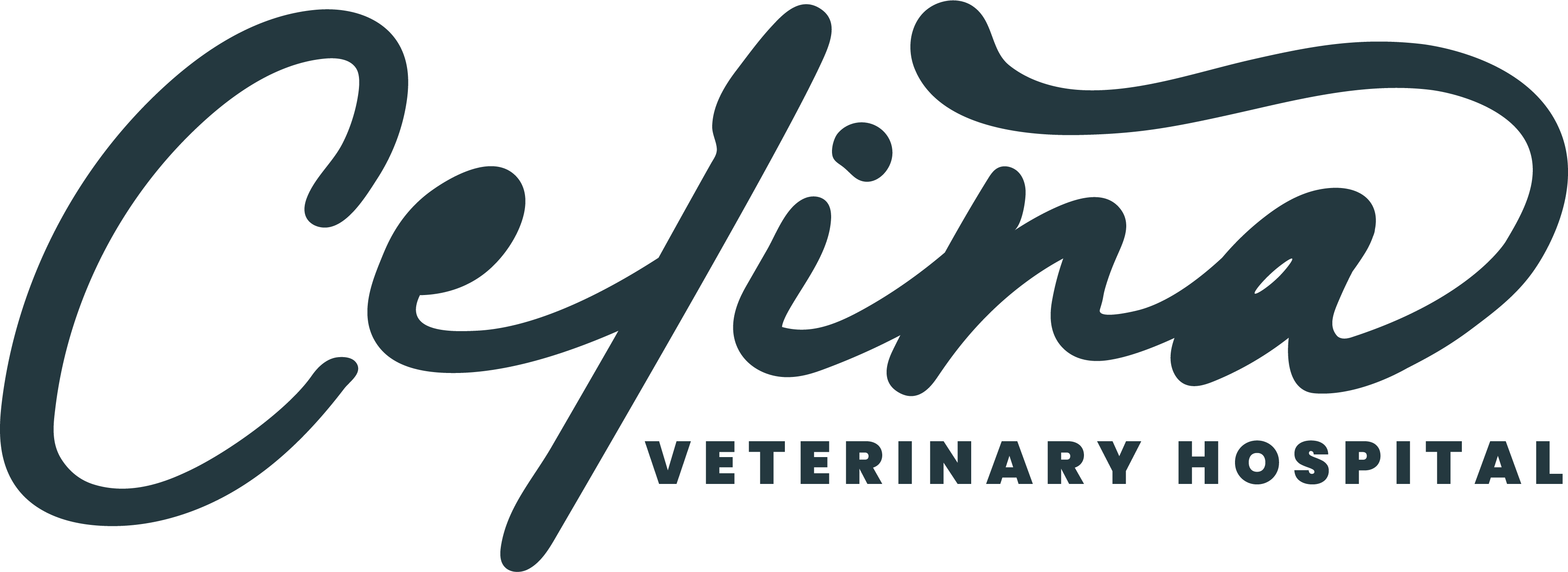 Celina Veterinary Hospital Logo